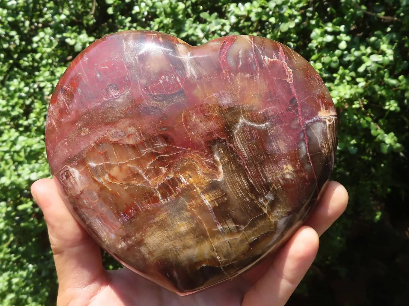 Polished Petrified Red Podocarpus Wood Heart x 1 From Mahajanga, Madagascar