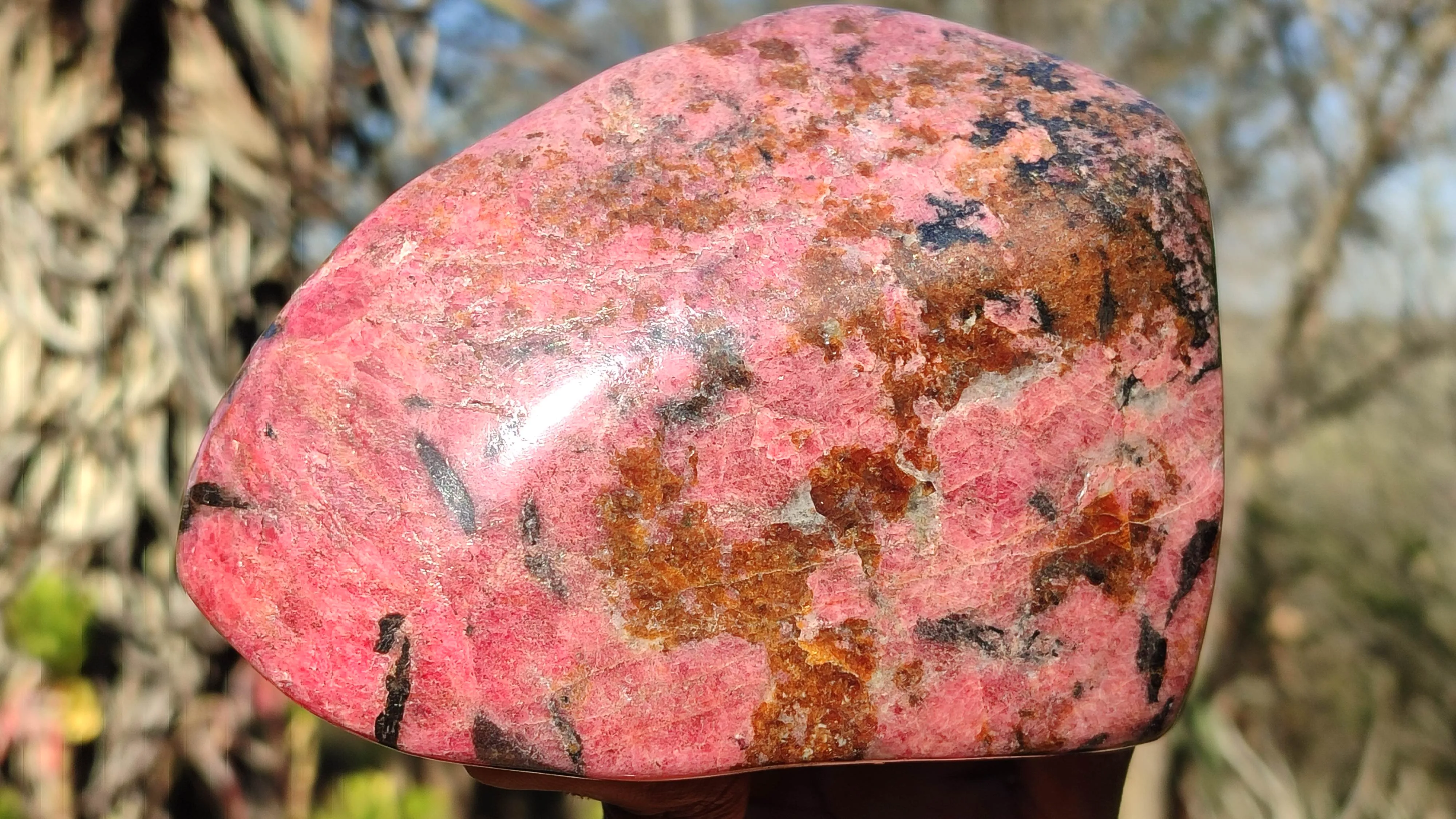 Polished Red Rhodonite Free Form x 1 From Zimbabwe