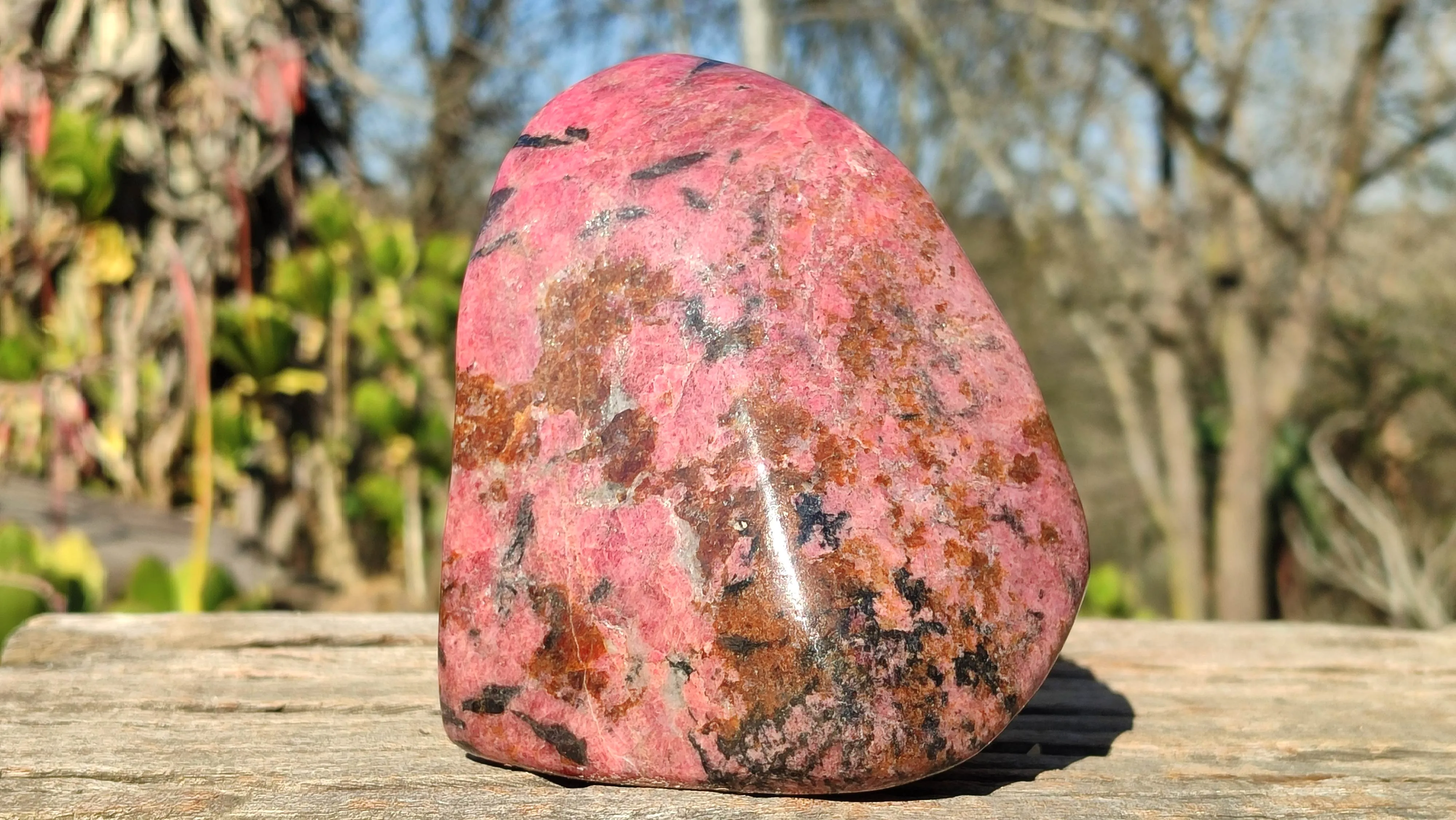 Polished Red Rhodonite Free Form x 1 From Zimbabwe