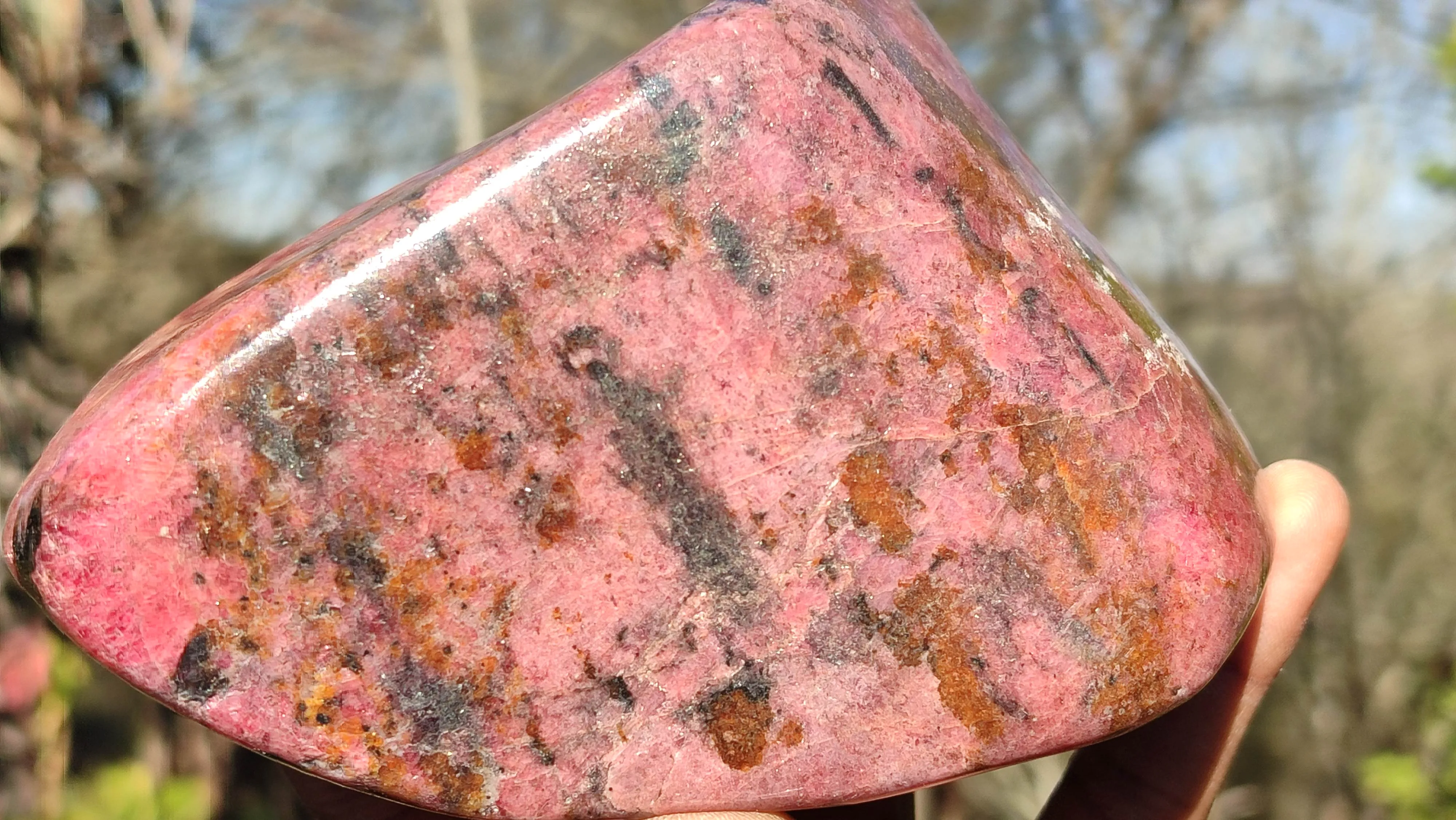 Polished Red Rhodonite Free Form x 1 From Zimbabwe
