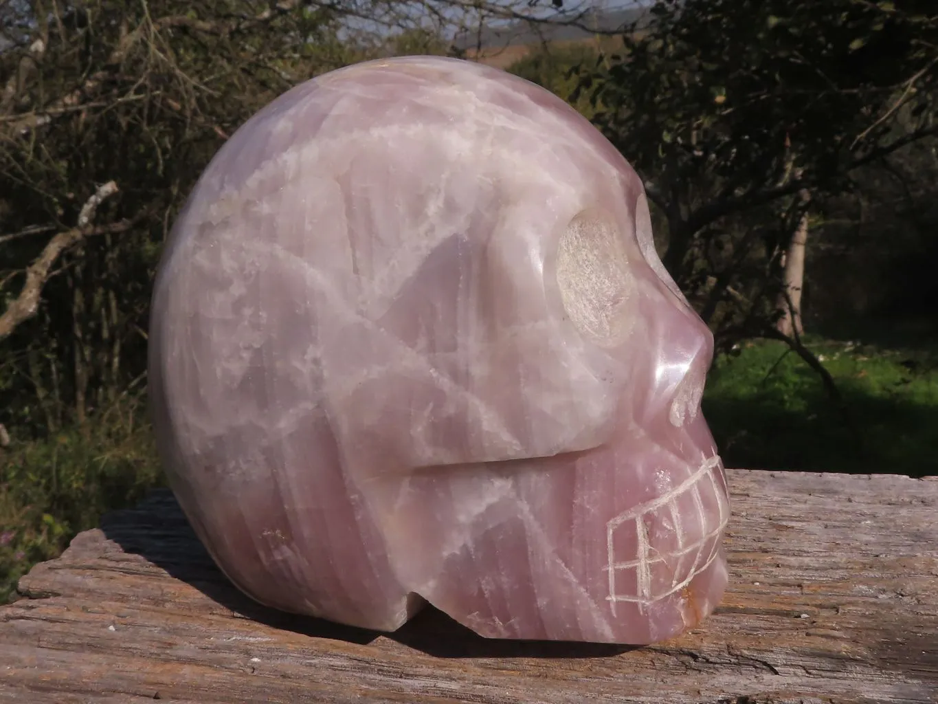 Polished XL Pink Rose Quartz Skull Carving x 1 From Madagascar