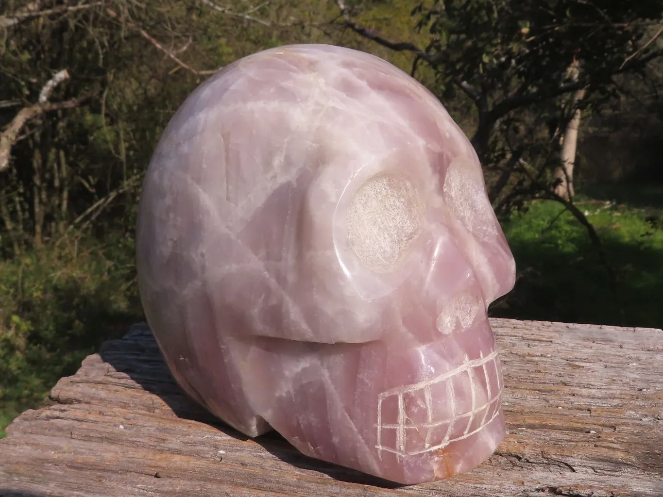 Polished XL Pink Rose Quartz Skull Carving x 1 From Madagascar