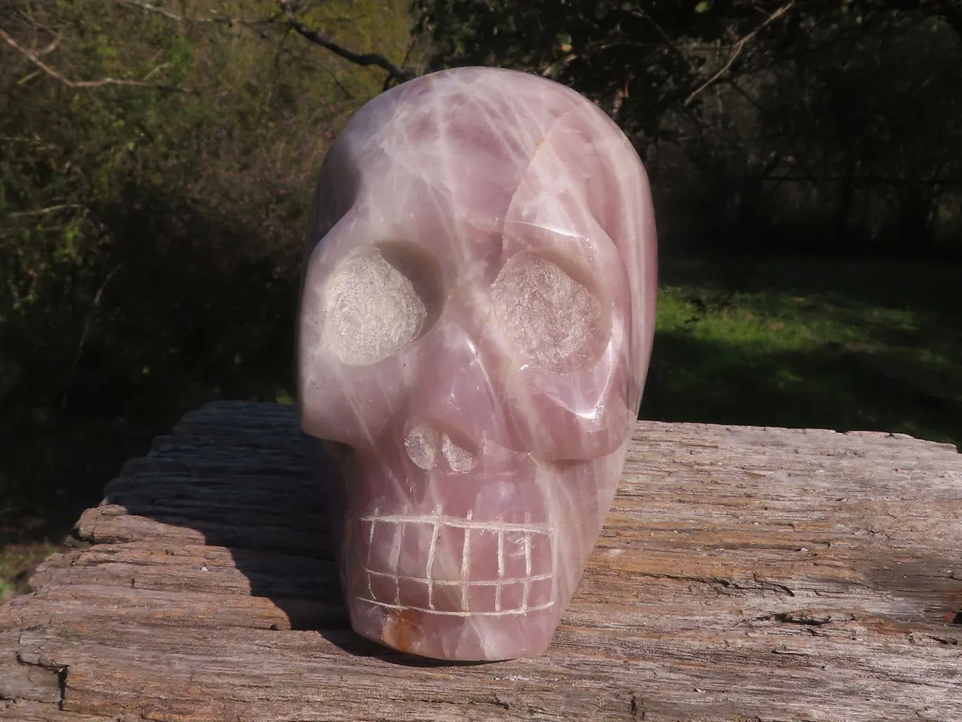 Polished XL Pink Rose Quartz Skull Carving x 1 From Madagascar