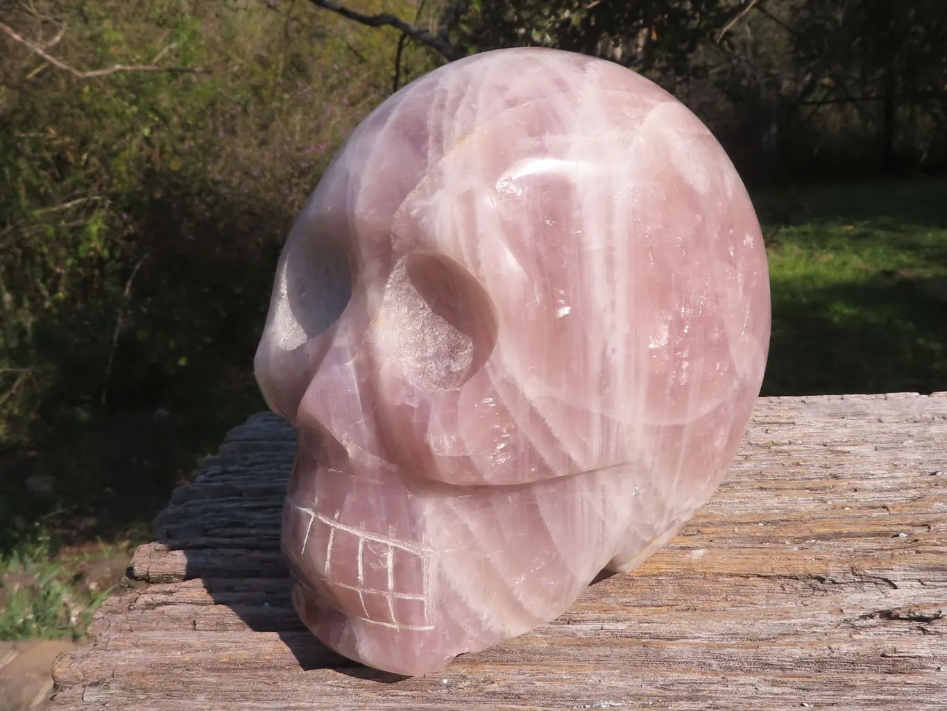 Polished XL Pink Rose Quartz Skull Carving x 1 From Madagascar