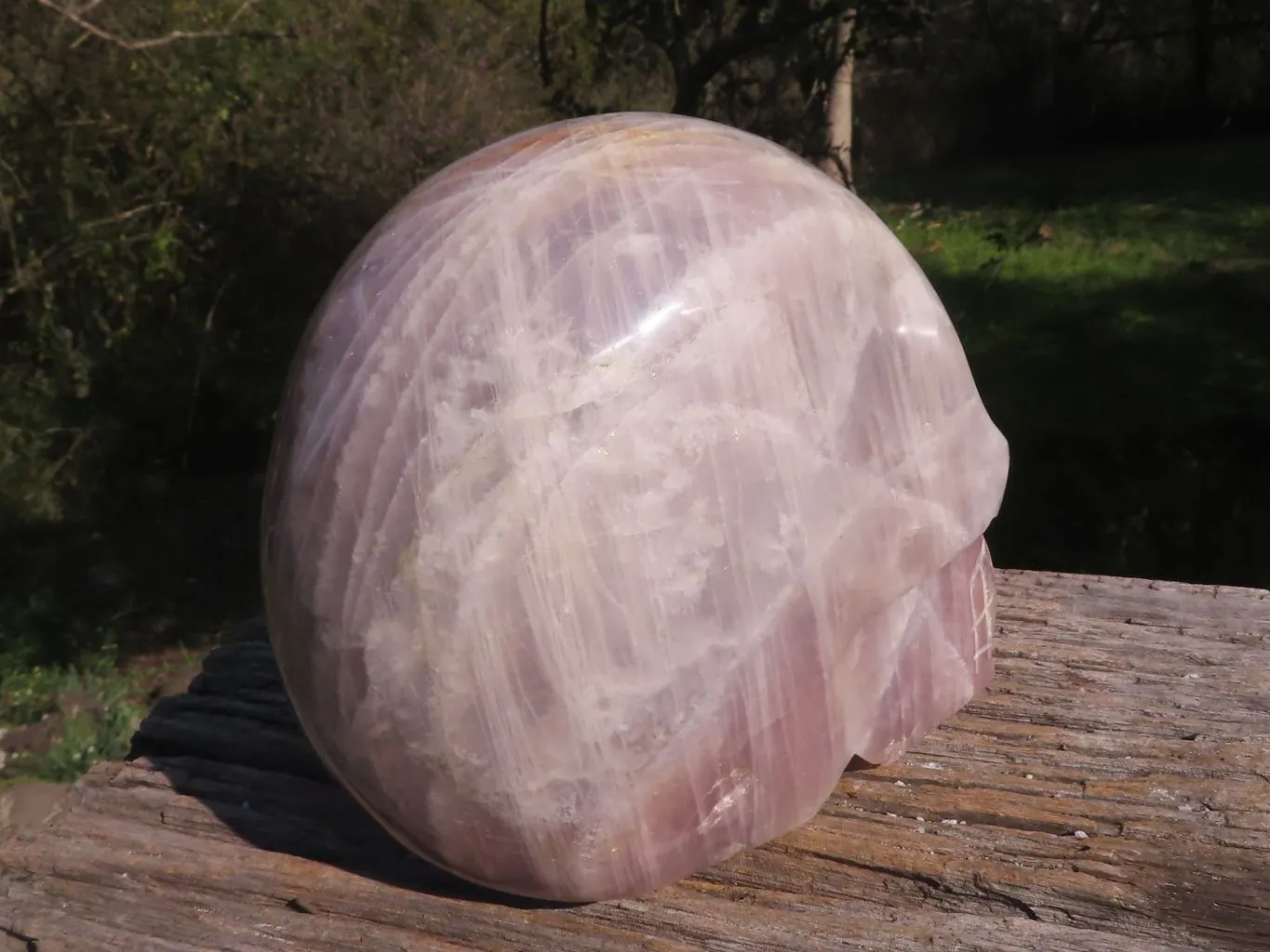 Polished XL Pink Rose Quartz Skull Carving x 1 From Madagascar