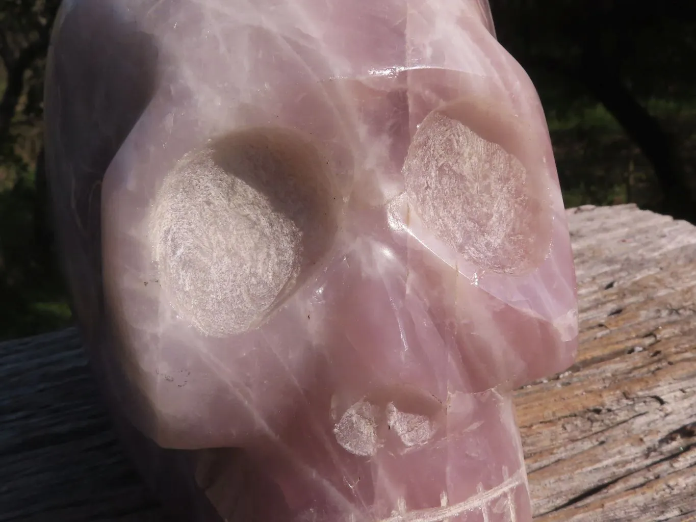 Polished XL Pink Rose Quartz Skull Carving x 1 From Madagascar