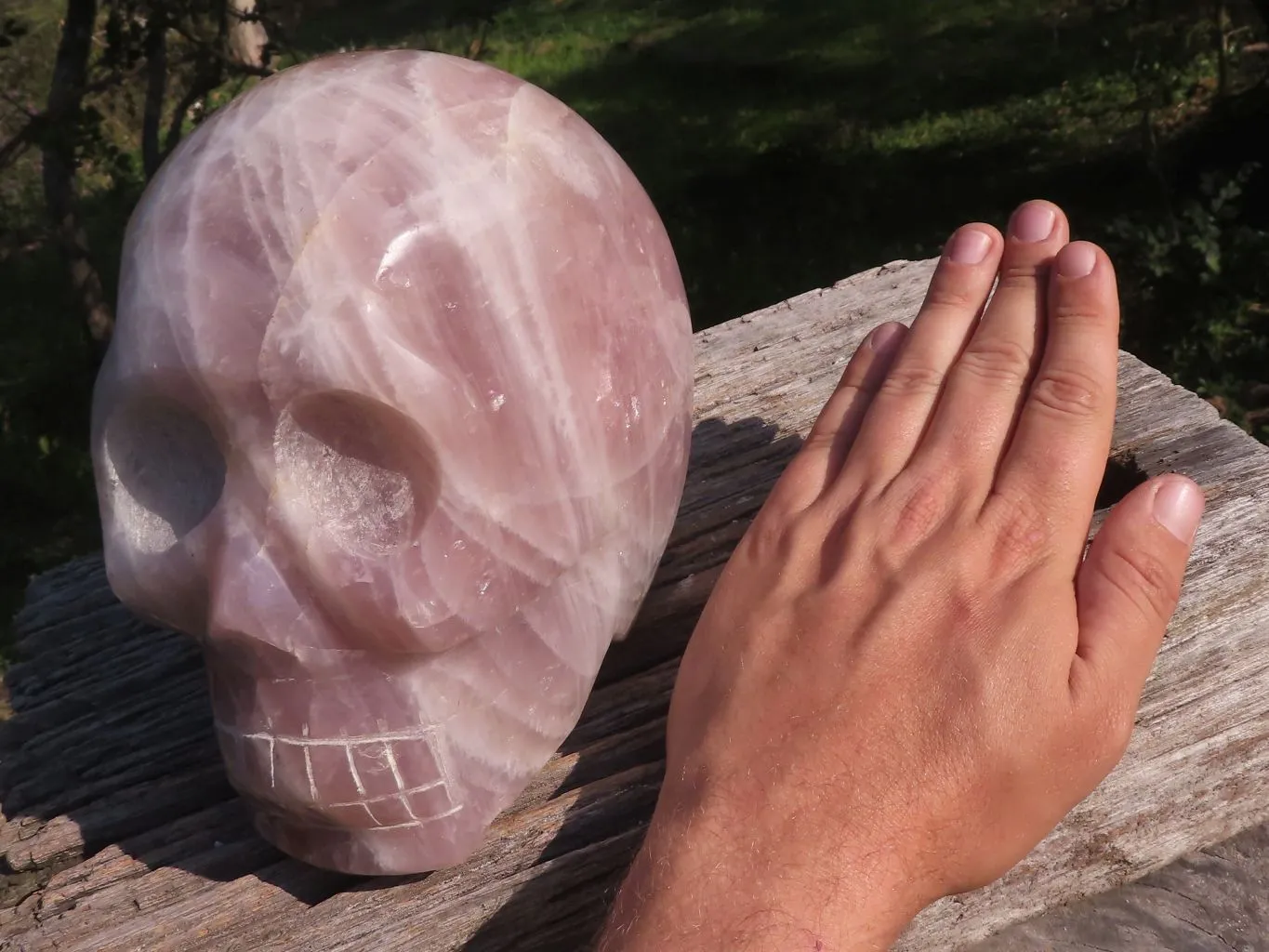Polished XL Pink Rose Quartz Skull Carving x 1 From Madagascar