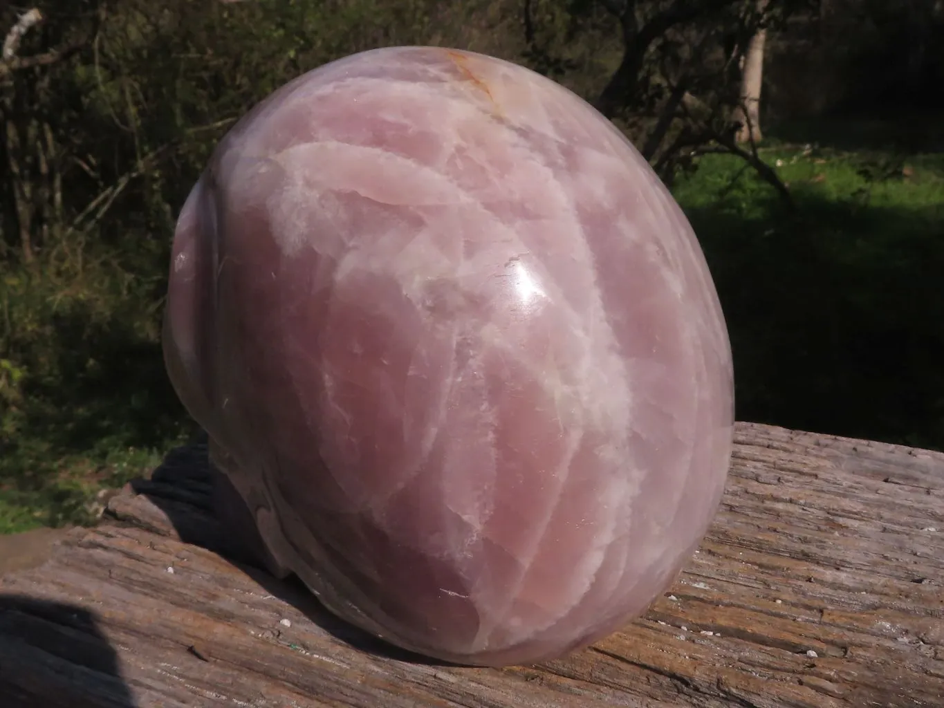Polished XL Pink Rose Quartz Skull Carving x 1 From Madagascar