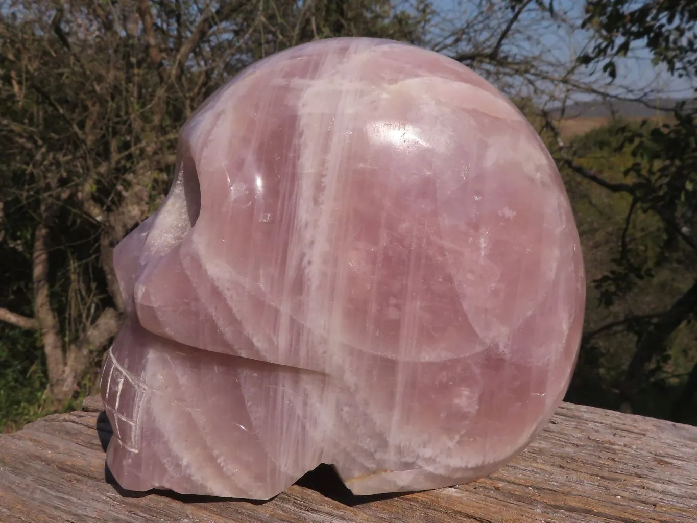 Polished XL Pink Rose Quartz Skull Carving x 1 From Madagascar