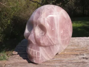 Polished XL Pink Rose Quartz Skull Carving x 1 From Madagascar