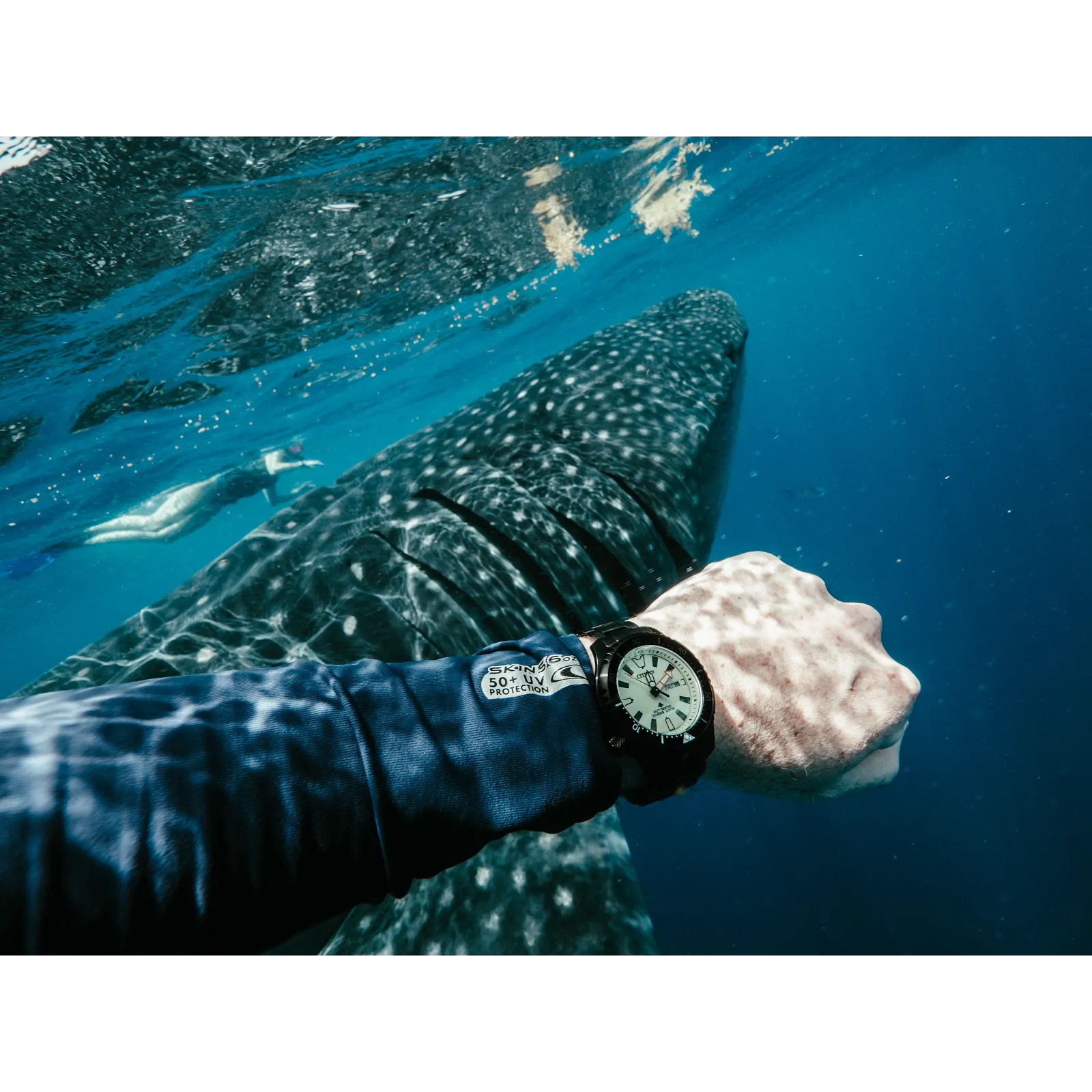 Promaster Dive Automatic NY0155-58X