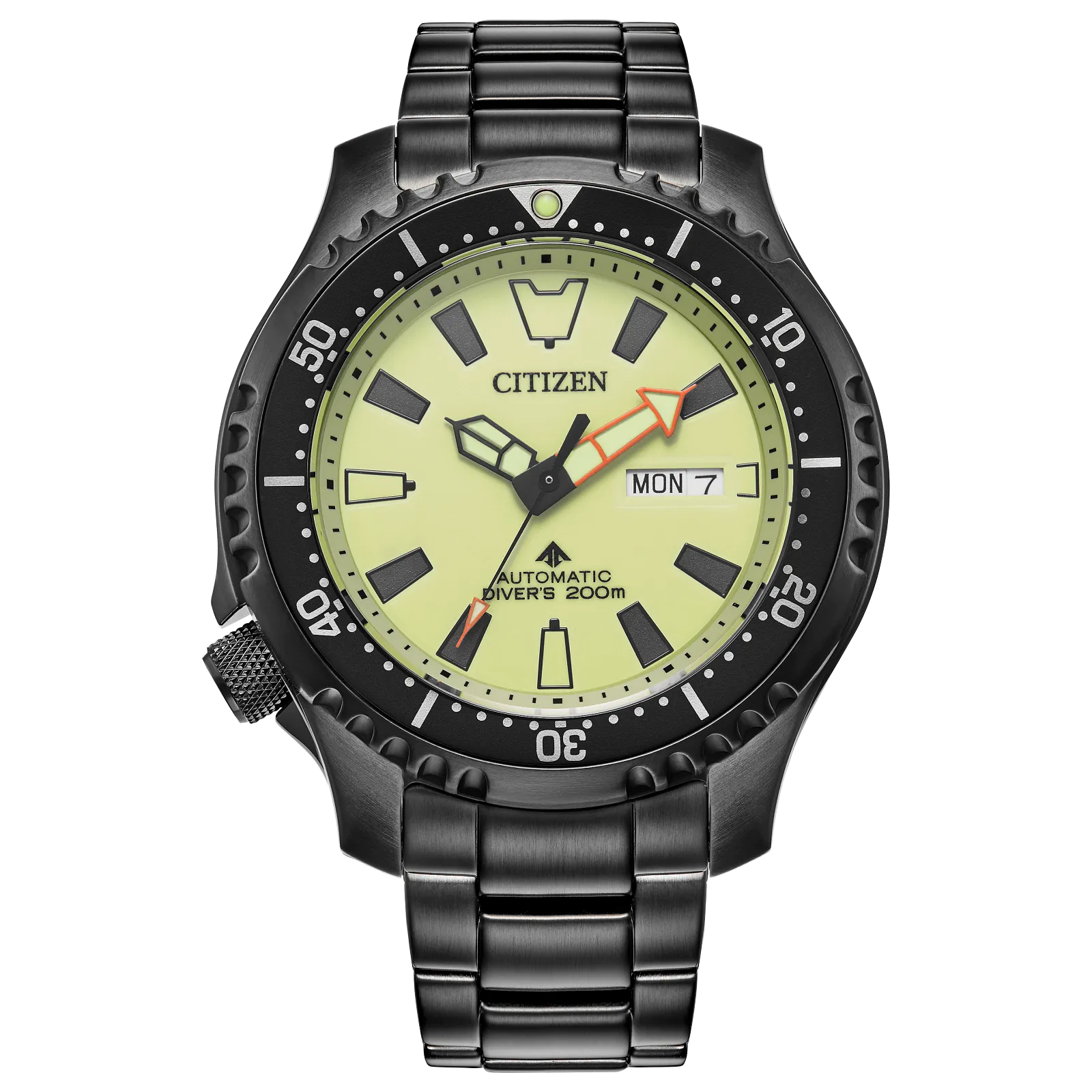 Promaster Dive Automatic NY0155-58X