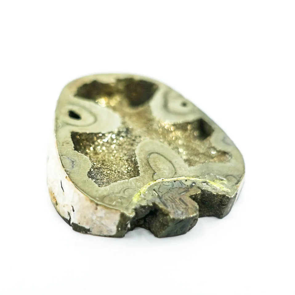 Pyrite Ammonite