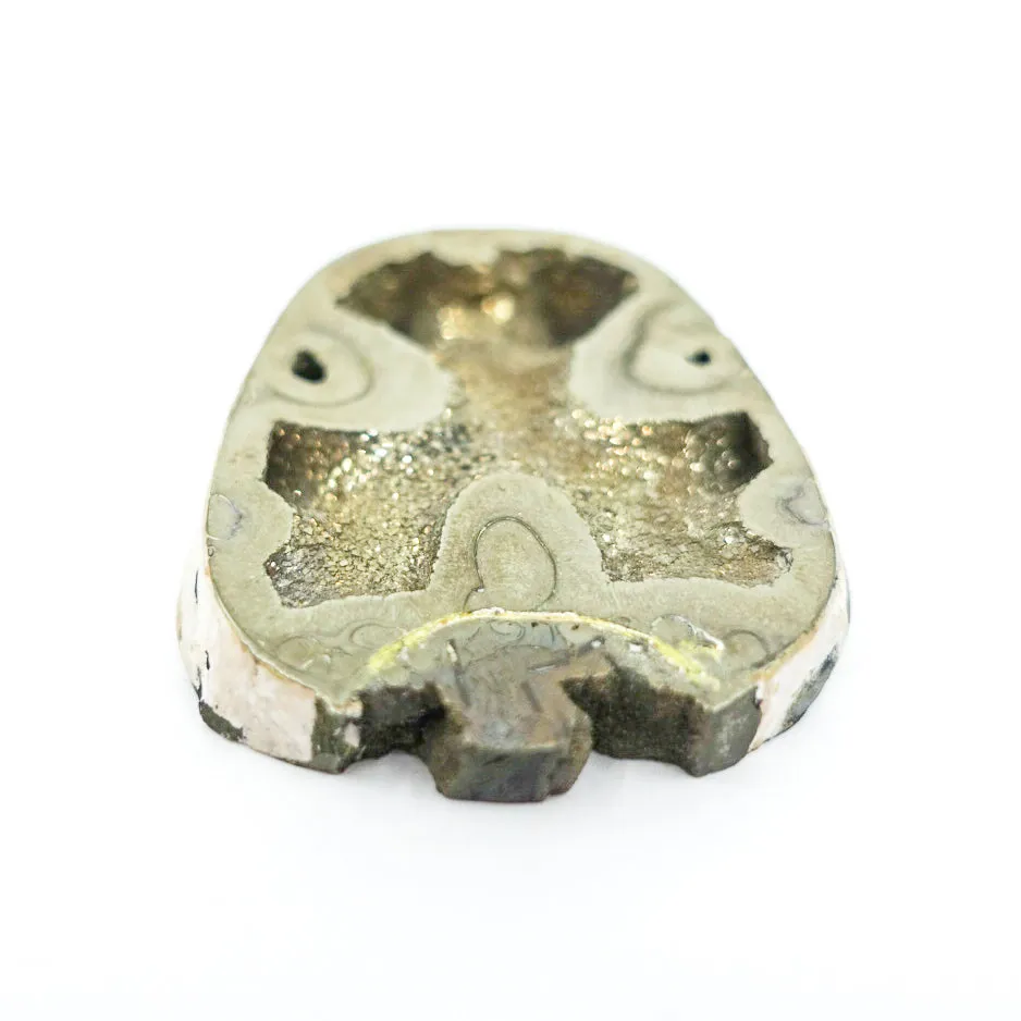 Pyrite Ammonite