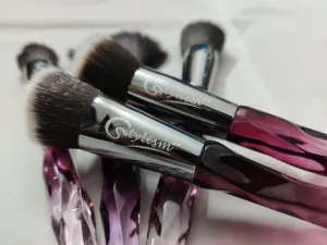 Sugar n Spice Brush Set (10 piece brush collection with bag)