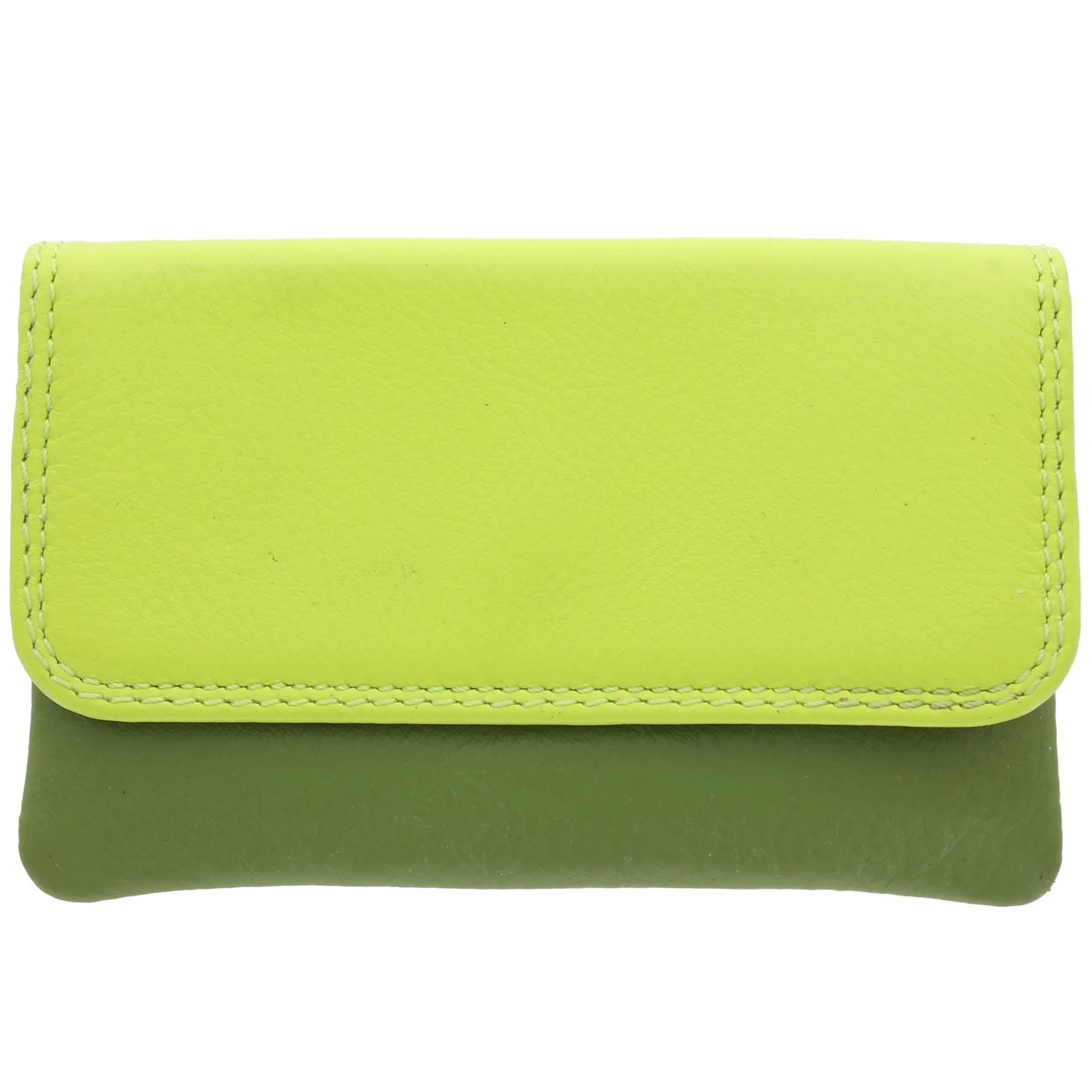 Visconti Leather Rainbow Collection TAHITI Purse RB99